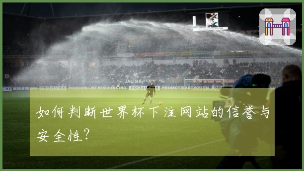 如何判断世界杯下注网站的信誉与安全性？
