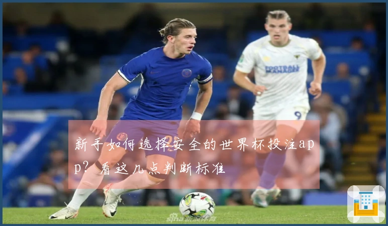 新手如何选择安全的世界杯投注app？看这几点判断标准
