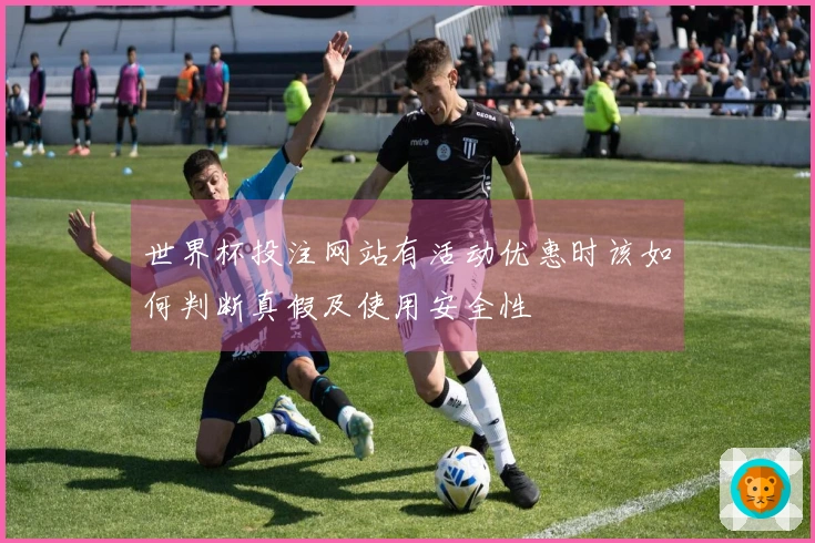 世界杯投注网站有活动优惠时该如何判断真假及使用安全性