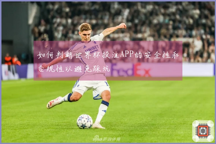 如何判断世界杯投注APP的安全性和合规性以避免踩坑