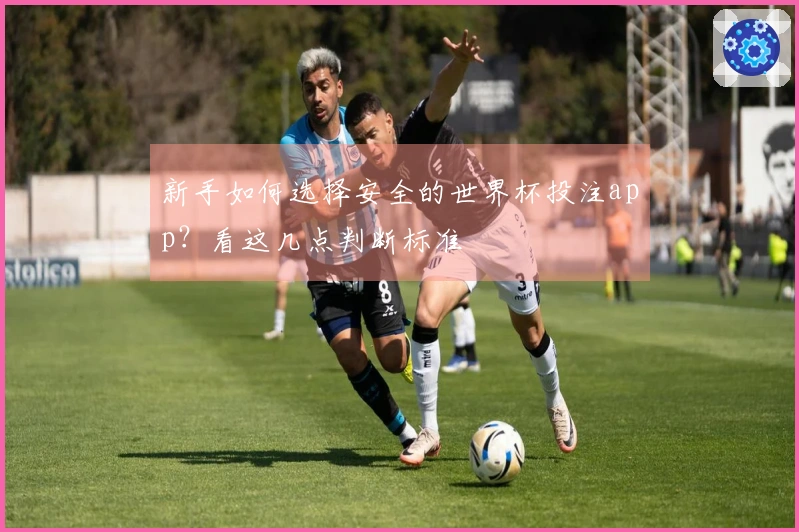 新手如何选择安全的世界杯投注app？看这几点判断标准