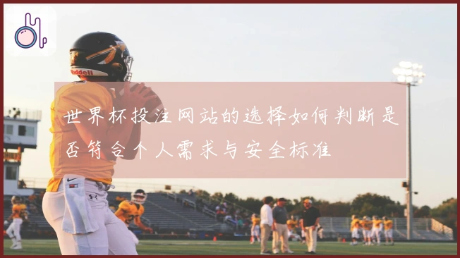 世界杯投注网站的选择如何判断是否符合个人需求与安全标准